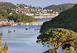 Dart Estuary  Dart Estuary